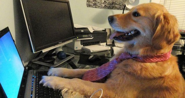 Check if a binary tree is bst